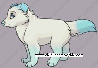 Pet