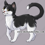 Pet