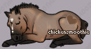 Pet