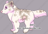 Pet