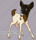 Pet