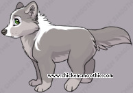 Pet