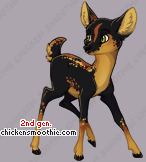 Pet