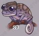 Pet