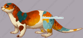 Pet