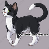 Pet