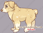 Pet