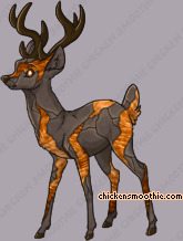 Pet