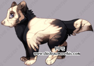 Pet