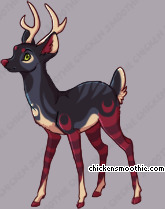 Pet