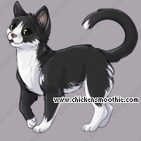 Pet