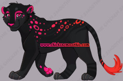 Pet