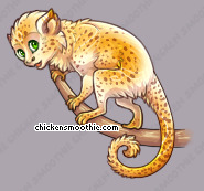 Pet