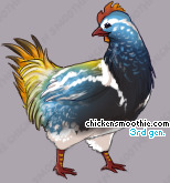Pet