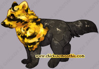 Pet