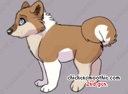 Pet