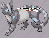 Pet