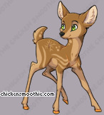 Pet