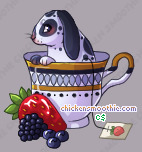 Pet