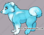 Pet