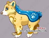 Pet