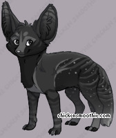 Pet