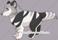 Pet