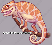 Pet