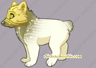 Pet
