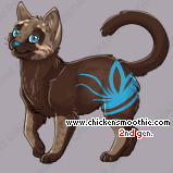 Pet