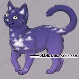 Pet