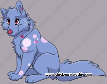Pet