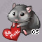 Pet