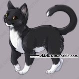 Pet