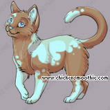Pet
