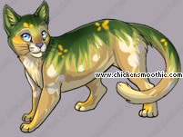 Pet