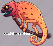 Pet