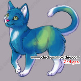 Pet