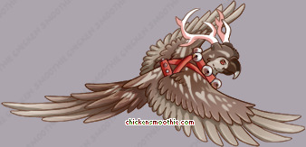 Pet