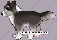 Pet