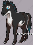 Pet