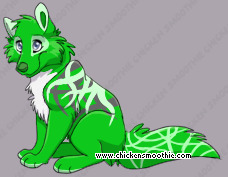Pet