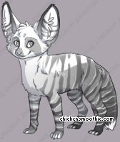 Pet