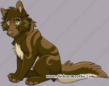 Pet