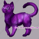 Pet