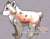 Pet