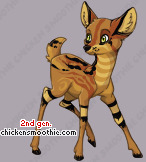 Pet