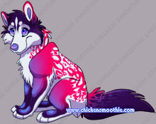 Pet
