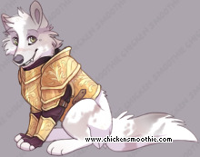 Pet