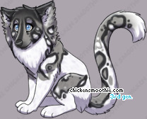 Pet